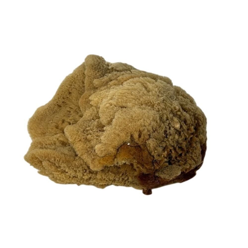 Natural Sponge Sea Table Decoration Nautical Beach Decor Tarpon Springs 7.5"
